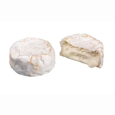 Warper Büffelweißer von Wasserbüffelhof Warpe