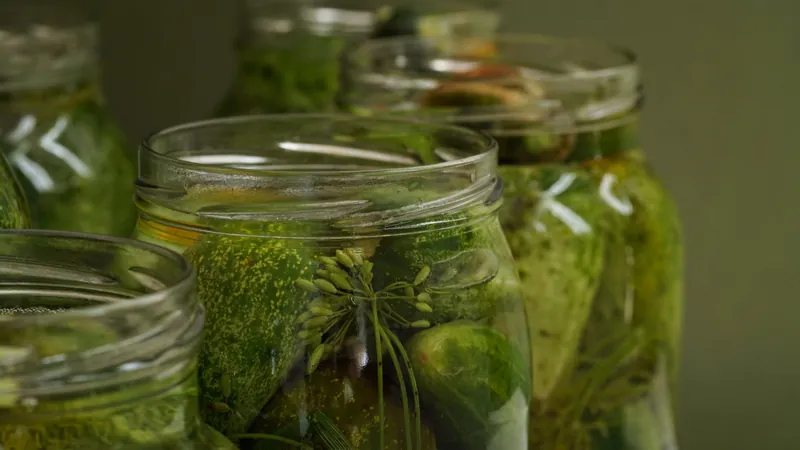 Einlegegurken Senf-Dill von Heidjer Konserven