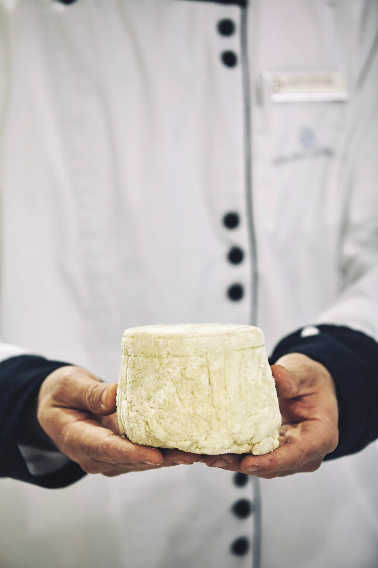 Handwerkskunst — Käsemeister bei der Arbeit