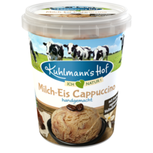 Handgemachtes Milch-Eis Cappucino