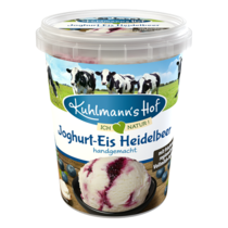 Handgemachtes Joghurt-Eis Heidelbeere