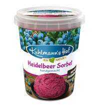 Heidelbeer Sorbet