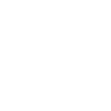 Bier Bier